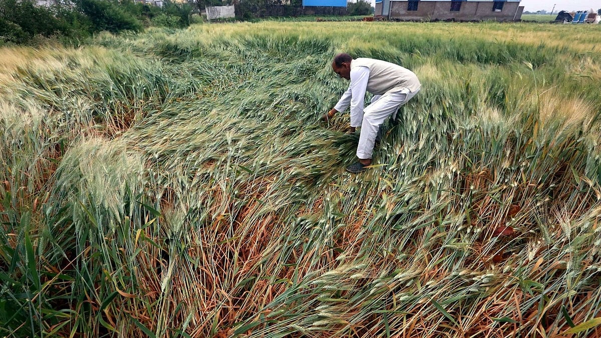 Maharashtra On Alert: Thunderstorms, Rain, And Possible Hailstorms Predicted Across Multiple Regions From March 17